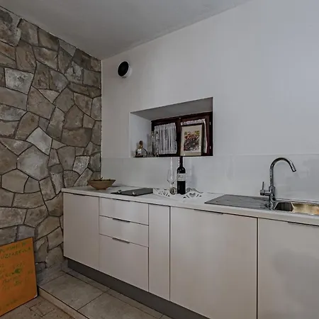 Newly Renovated Stone Smokvica 1892 *
